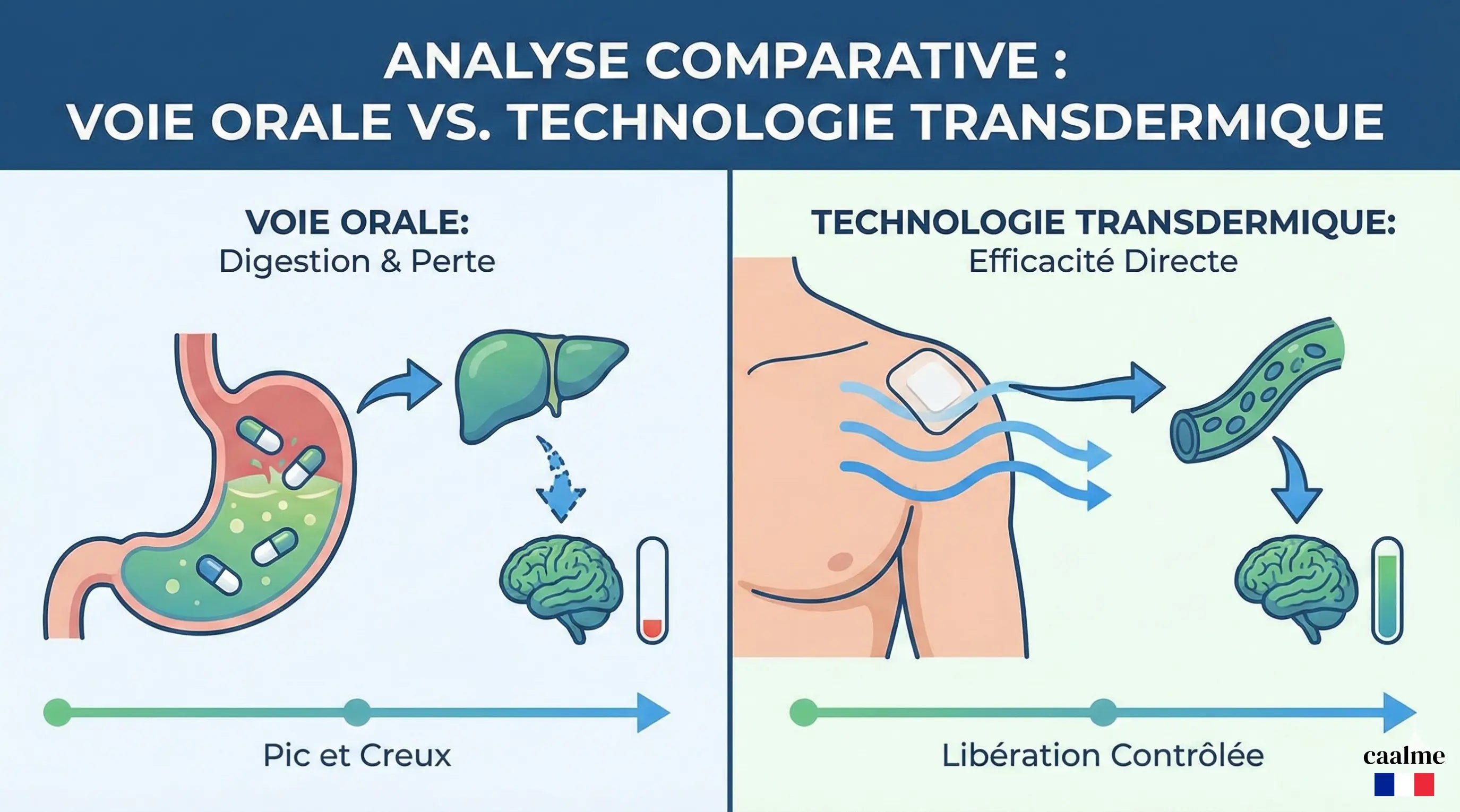 Analyse comparative : Limites pharmacocinétiques de la voie orale et efficacité de la technologie transdermique